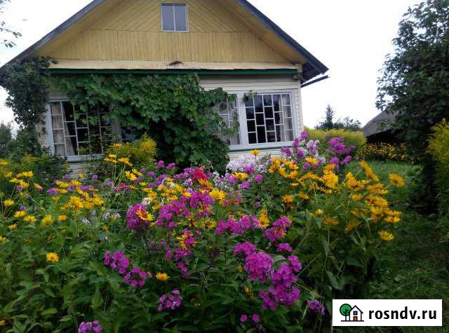 Дом 55 м² на участке 20 сот. на продажу в Великих Луках Великие Луки - изображение 1