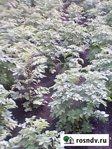 Участок ИЖС 19 сот. на продажу в Трудармейском Трудармейский - изображение 1