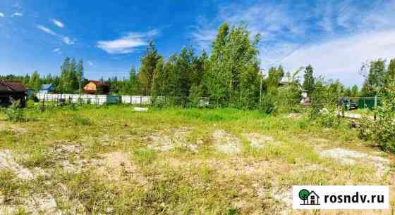 Участок СНТ, ДНП 15 сот. на продажу в Сосновом Бору Сосновый Бор