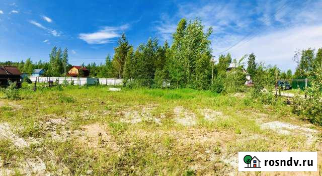 Участок СНТ, ДНП 15 сот. на продажу в Сосновом Бору Сосновый Бор - изображение 1