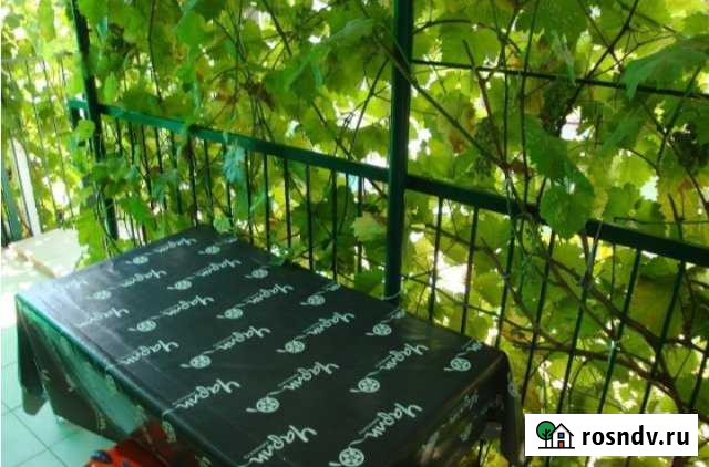 Коттедж 35 м² на участке 1 сот. в аренду посуточно в Новомихайловском кп Новомихайловский кп - изображение 1