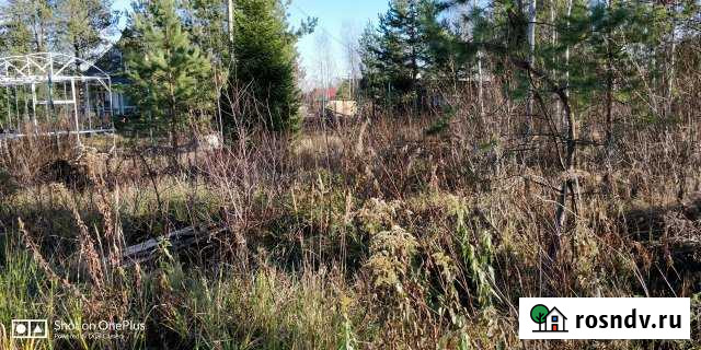 Участок СНТ, ДНП 8 сот. на продажу в Рахье Рахья - изображение 1