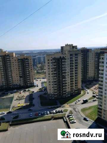 Квартира-студия, 28 м², 19/19 эт. в аренду на длительный срок в Новом Девяткино Новое Девяткино - изображение 1