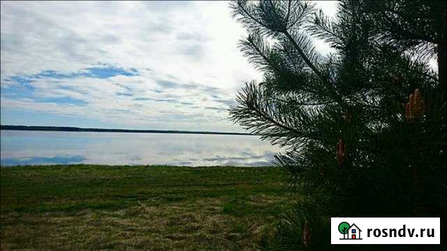 Участок ИЖС 100 сот. на продажу в Осташкове Осташков - изображение 1