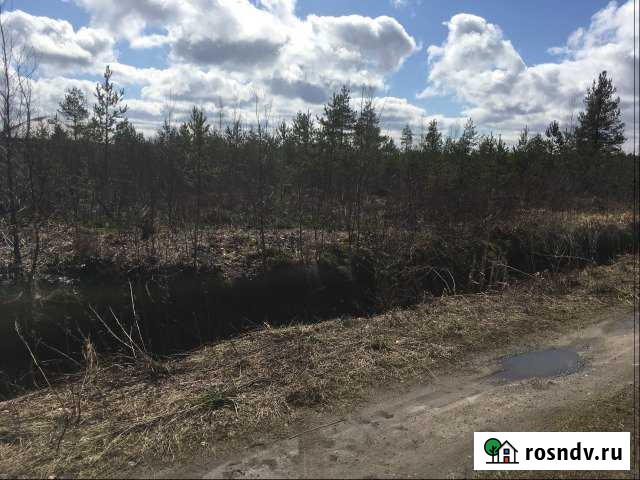 Участок СНТ, ДНП 10 сот. в аренду в Рахье Рахья - изображение 1