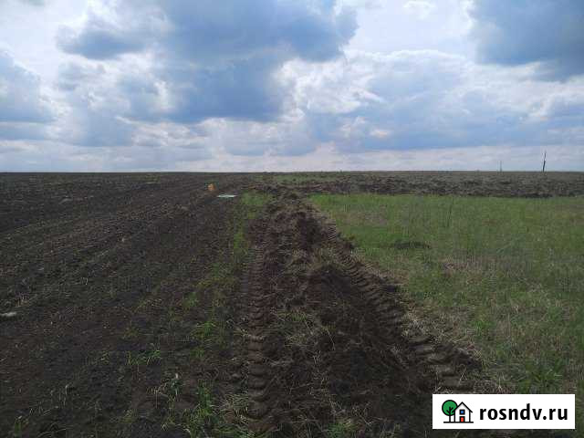 Участок СНТ, ДНП 900 сот. на продажу в Ефремове Ефремов - изображение 1