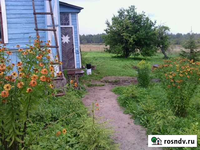 Дом 48 м² на участке 50 сот. на продажу в Опочке Опочка - изображение 1