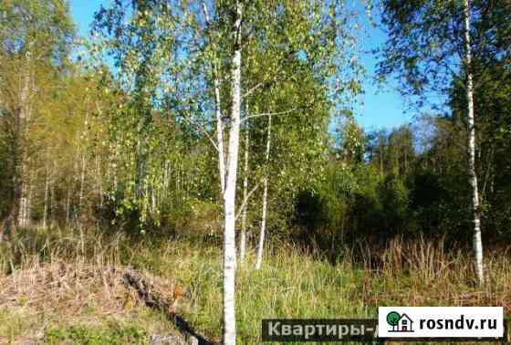 Участок СНТ, ДНП 11 сот. на продажу в Выборге Выборг