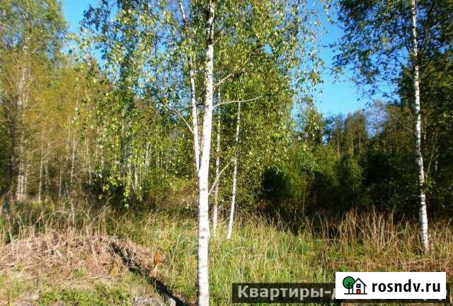 Участок СНТ, ДНП 11 сот. на продажу в Выборге Выборг - изображение 1