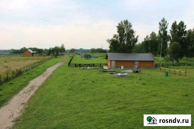 Участок СНТ, ДНП 300 сот. в аренду в Калининграде Калининград - изображение 1