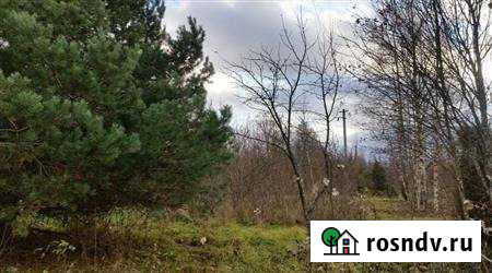Участок ИЖС 13 сот. на продажу в Сясьстрое Сясьстрой - изображение 1