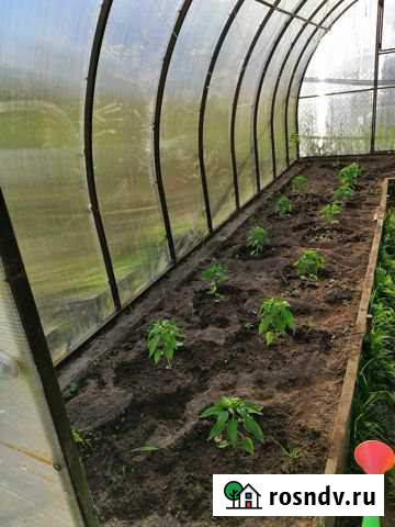 Дача 40 м² на участке 8.1 сот. на продажу в Мегионе Мегион - изображение 1