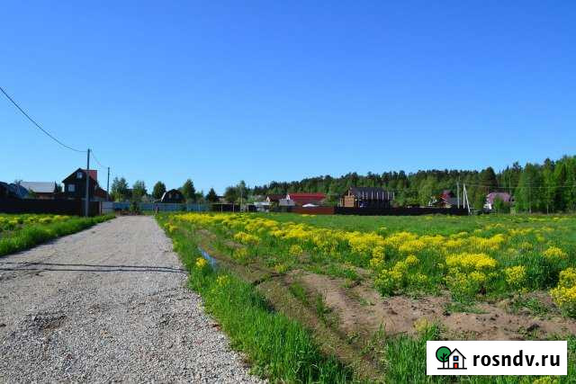 Участок СНТ, ДНП 6 сот. на продажу во Фрязино Фрязино - изображение 1