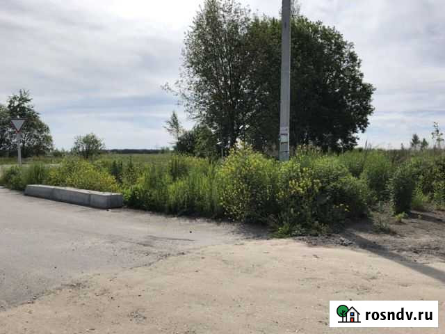 Участок СНТ, ДНП 20 сот. на продажу в Брянске Брянск - изображение 1