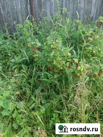 Дача 56 м² на участке 650 сот. на продажу в Обухово Обухово - изображение 1