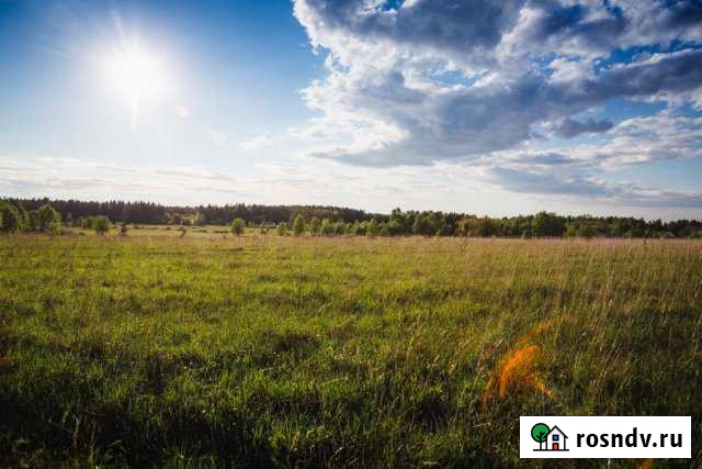 Участок СНТ, ДНП 12 сот. на продажу в Сосновом Бору Сосновый Бор - изображение 1