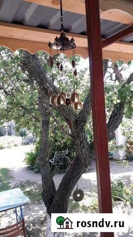 Дом 56 м² на участке 5 сот. в аренду посуточно в Должанской Должанская - изображение 1