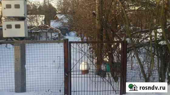 Участок СНТ, ДНП 6 сот. на продажу в Шишкине Лесе Шишкин Лес