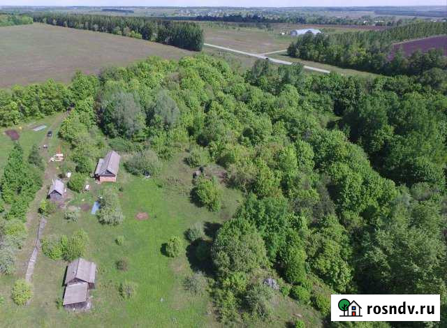 Участок СНТ, ДНП 53 сот. на продажу в Моргаушах Моргауши - изображение 1