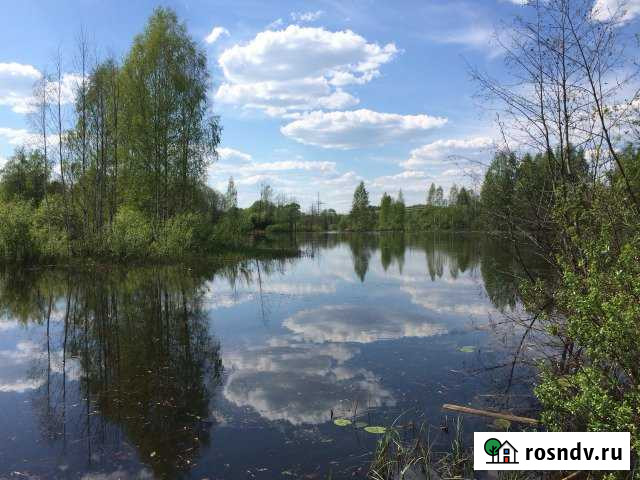 Участок СНТ, ДНП 10 сот. на продажу на Лугах Луга - изображение 1