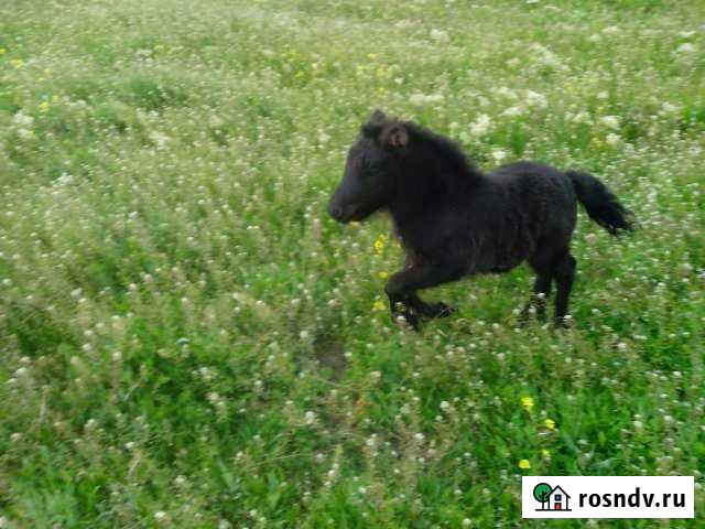 Участок СНТ, ДНП 7 сот. на продажу в Дивноморском Дивноморское - изображение 1