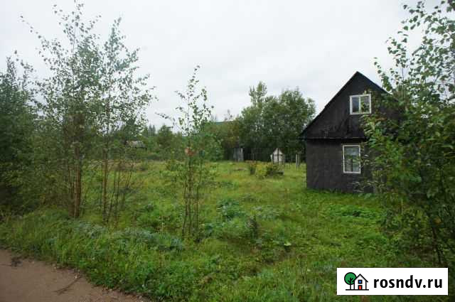 Дача 20 м² на участке 10 сот. на продажу в Приладожском Приладожский - изображение 1