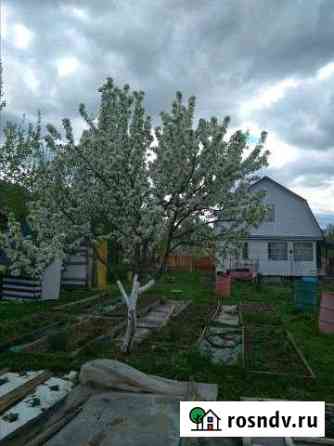 Дача 50 м² на участке 20 сот. на продажу в Краснозаводске Краснозаводск