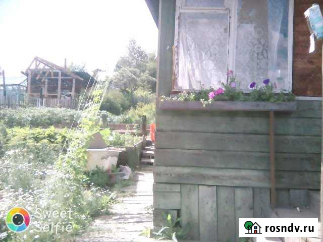 Дача 20 м² на участке 5 сот. на продажу в Маркове Маркова - изображение 1