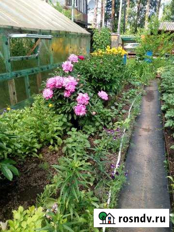 Дача 50 м² на участке 6 сот. на продажу в Николо-Павловском Николо-Павловское - изображение 1