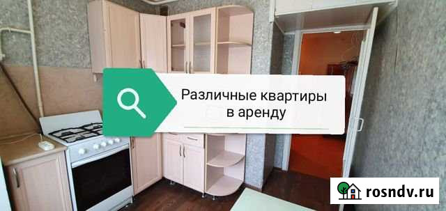 2-комнатная квартира, 50 м², 2/12 эт. в аренду на длительный срок в Дзержинске Дзержинск - изображение 1