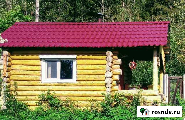 Дом 25 м² на участке 95 сот. в аренду посуточно в Сортавале Сортавала - изображение 1