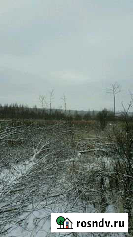 Участок СНТ, ДНП 65000 сот. на продажу в Балакирево Балакирево - изображение 1