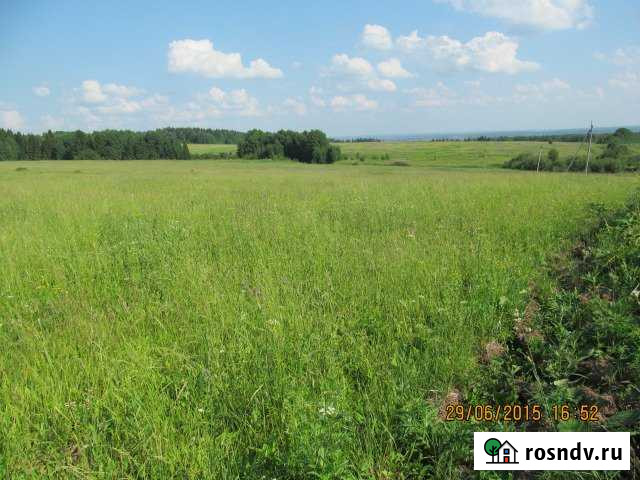 Участок СНТ, ДНП 556 сот. на продажу в Лямино Лямино - изображение 1