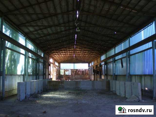 Помещение свободного назначения, 1242 кв.м. Фастовецкая - изображение 1