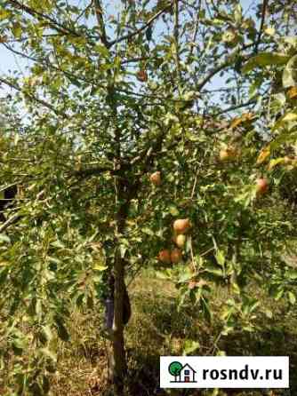 Дача 26 м² на участке 6 сот. на продажу в Омске Омск