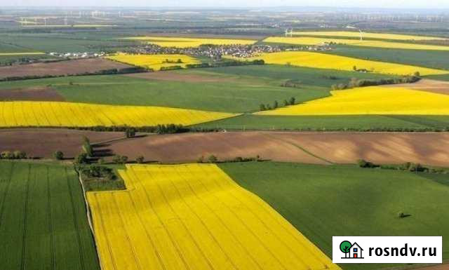 Участок СНТ, ДНП 550 сот. на продажу в Тихорецке Тихорецк - изображение 1