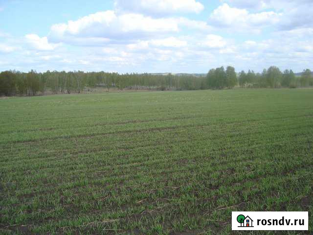 Участок СНТ, ДНП 8050 сот. на продажу в Сухобузимском Сухобузимское - изображение 1