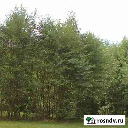 Участок ИЖС 15 сот. на продажу в Меленках Меленки