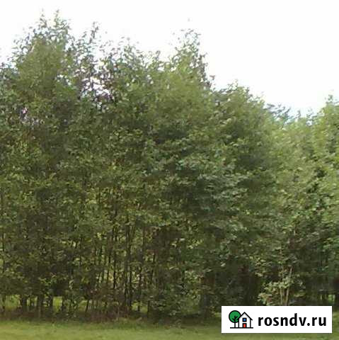 Участок ИЖС 15 сот. на продажу в Меленках Меленки - изображение 1