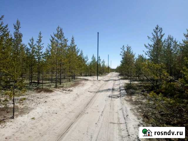 Участок СНТ, ДНП 9 сот. на продажу в Когалыме Когалым - изображение 1