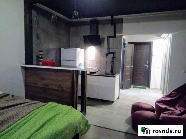 Квартира-студия, 27 м², 9/9 эт. в аренду посуточно в Кингисеппе Кингисепп - изображение 1