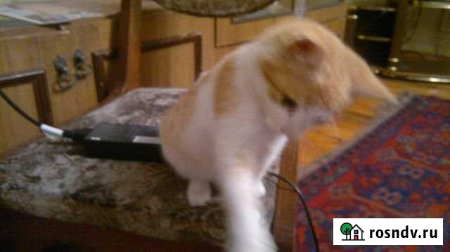 Комната 20 м² в 5-ком. кв., 1/3 эт. в аренду на длительный срок в Дербенте Дербент - изображение 1