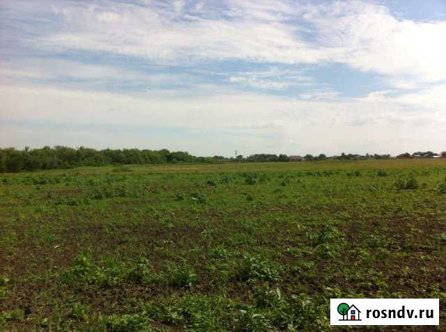 Участок ИЖС 15 сот. на продажу в Рощинском Рощинский - изображение 1