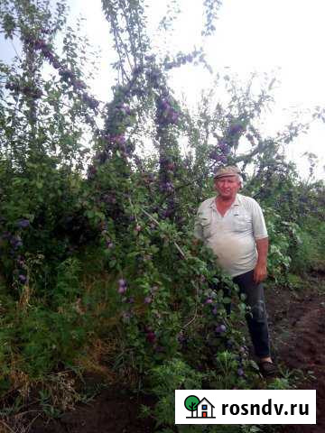Участок СНТ, ДНП 240 сот. на продажу в Варениковской Варениковская - изображение 1