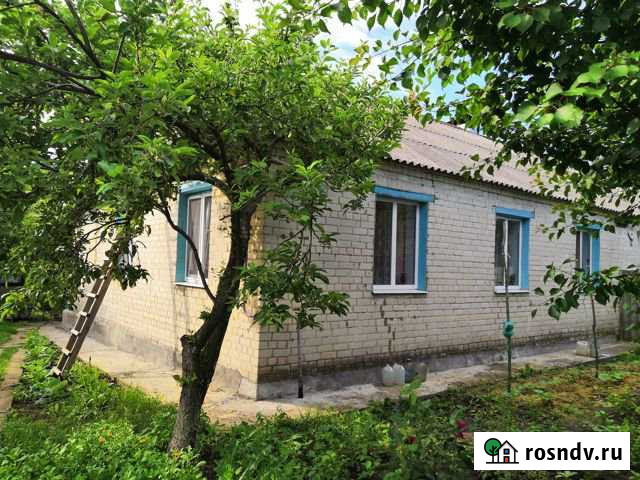 Дом 70 м² на участке 50 сот. на продажу в Ивне Ивня - изображение 1