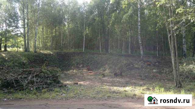 Участок ИЖС 15 сот. на продажу в Демянске Демянск - изображение 1