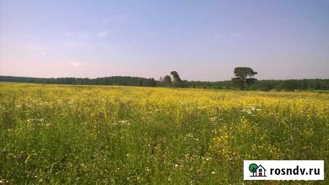 Участок ИЖС 12 сот. на продажу в Сухобузимском Сухобузимское - изображение 1