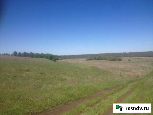 Участок СНТ, ДНП 2900 сот. на продажу в Лопатино Лопатино - изображение 1