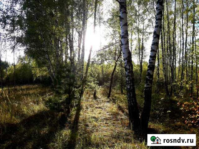 Участок ИЖС 15 сот. на продажу в Товарково Товарково - изображение 1