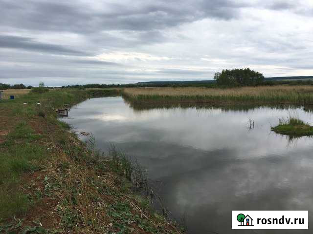 Участок СНТ, ДНП 2464 сот. на продажу в Красном Яре Самарской области Красный Яр - изображение 1